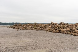 Nye stenrev på vej i Horsens Fjord: 500 tons sten bliver lagt ud for at skabe mere liv og biodiversitet