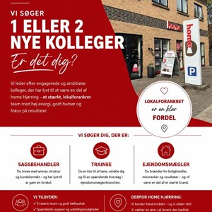 Opslagsbillede