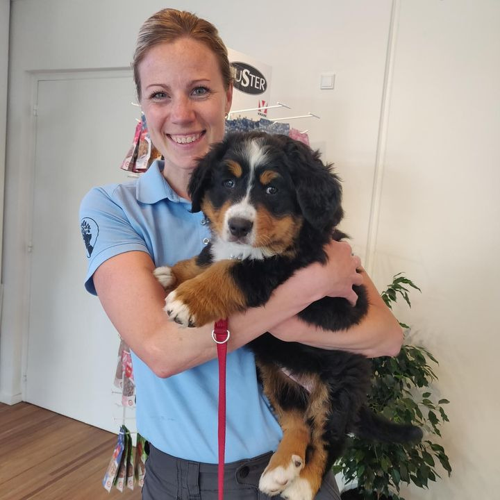 Hold dig ajour med dagens opdateringer fra Risskov