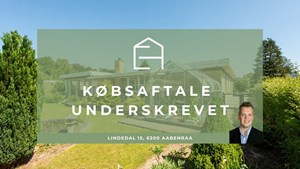 opslagsbillede