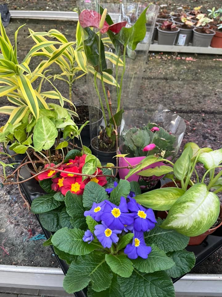 Hold trit med lokalområdet: Nyt fra Odder