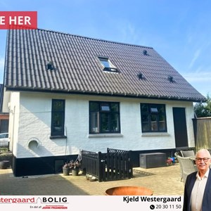 Opslagsbillede