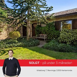 Opslagsbillede