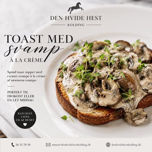 Den Hvide Hest Kolding serverer sprød toast med svampe à la crème