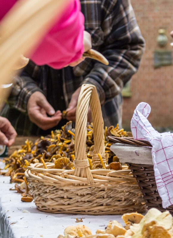 Oplev naturens skatte med svampejagt og vild mad i Varde