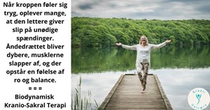 opslagsbillede