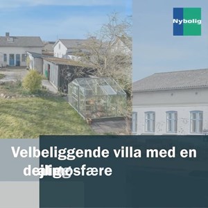 Opslagsbillede