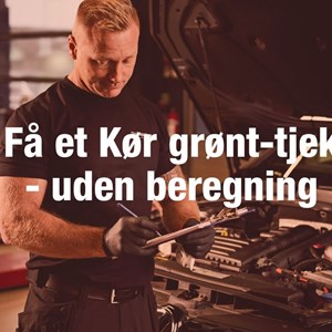Opslagsbillede