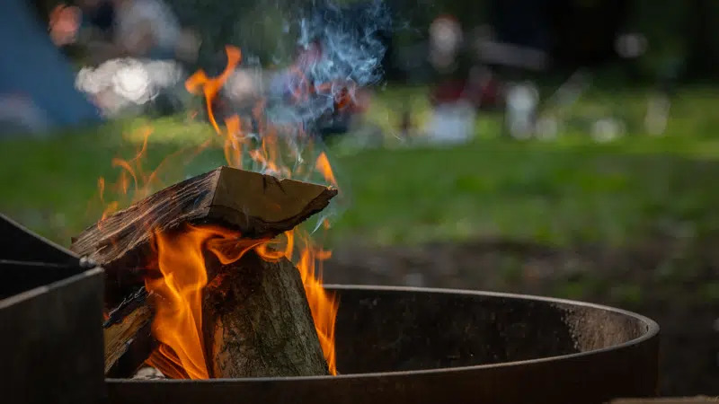 Silkeborg introducerer innovativt naturforløb mod stress og angst