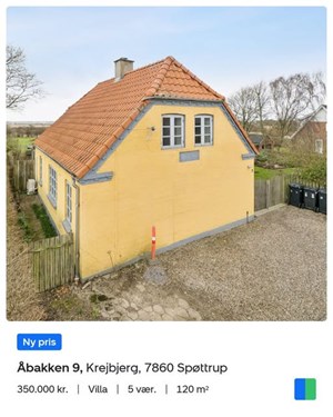 opslagsbillede