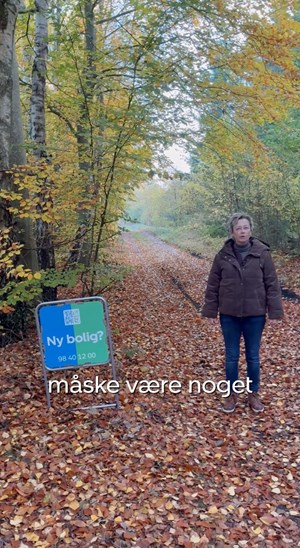 opslagsbillede