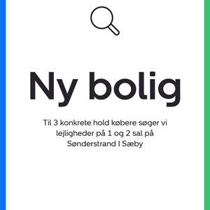 Opslagsbillede