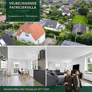 Opslagsbillede