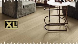 Hold dig ajour med dagens opdateringer fra Hals