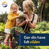 Forvandl din have til en oase for biodiversitet med enkle ændringer