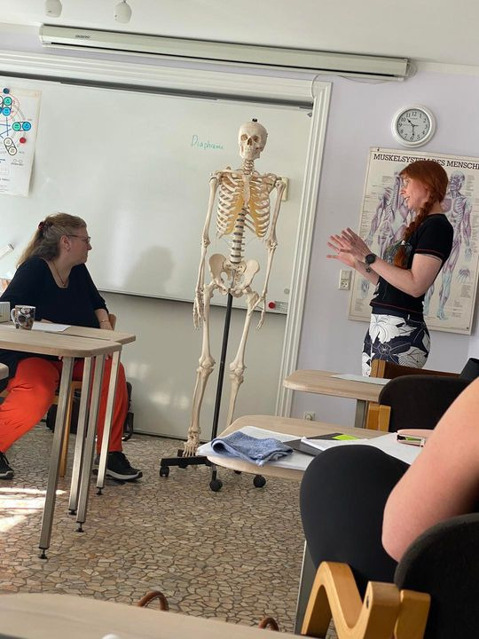 Opslagstavlen: Nyeste opdateringer fra Horsens