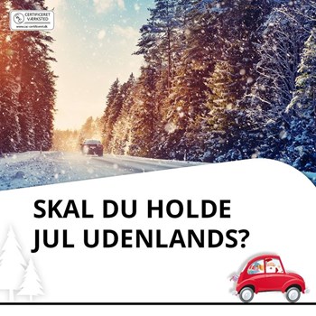 Opslagsbillede