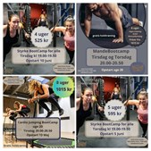 LeneS annoncerer nye bootcamps med start i maj og juni
