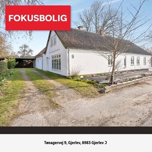 Opslagsbillede