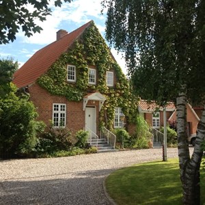 Opslagsbillede