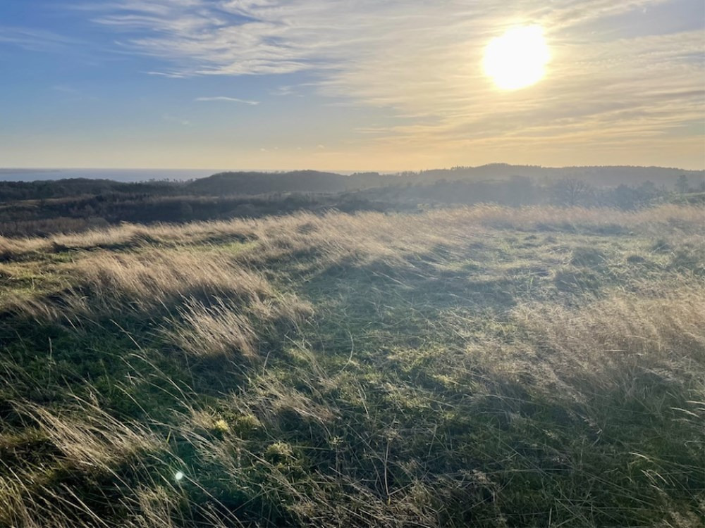 Find ro og fordybelse med meditativ vandring i Mols Bjerge