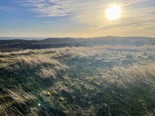 Find ro og fordybelse med meditativ vandring i Mols Bjerge