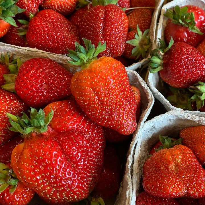 Fru Hansens Butik & Café fremhæver dagens friske danske råvarer