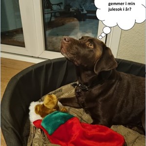 Opslagsbillede