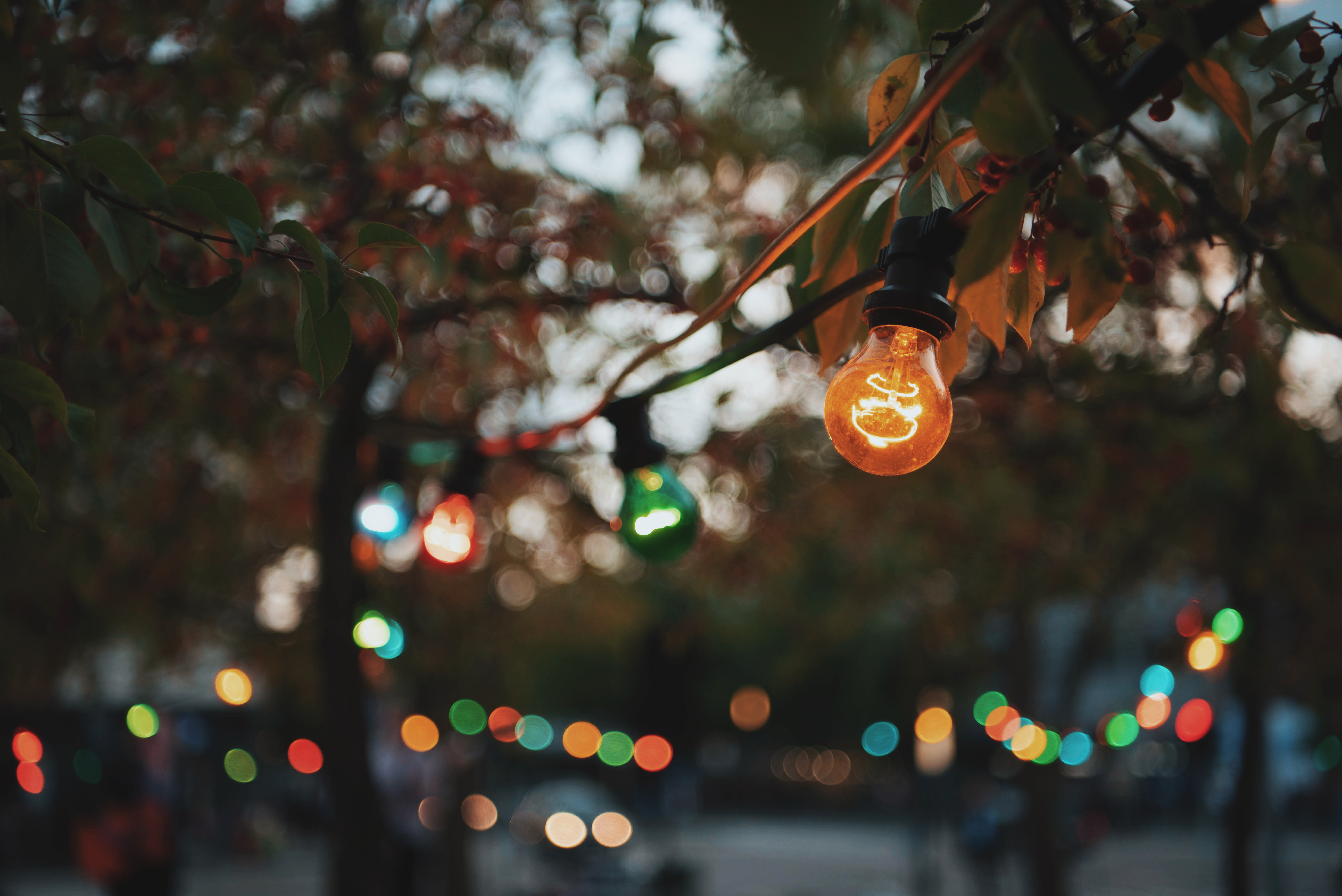 Jazz og kulinariske oplevelser i Taastrup Medborgerhus