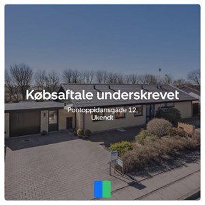 Opslagsbillede
