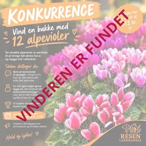 Opslagsbillede