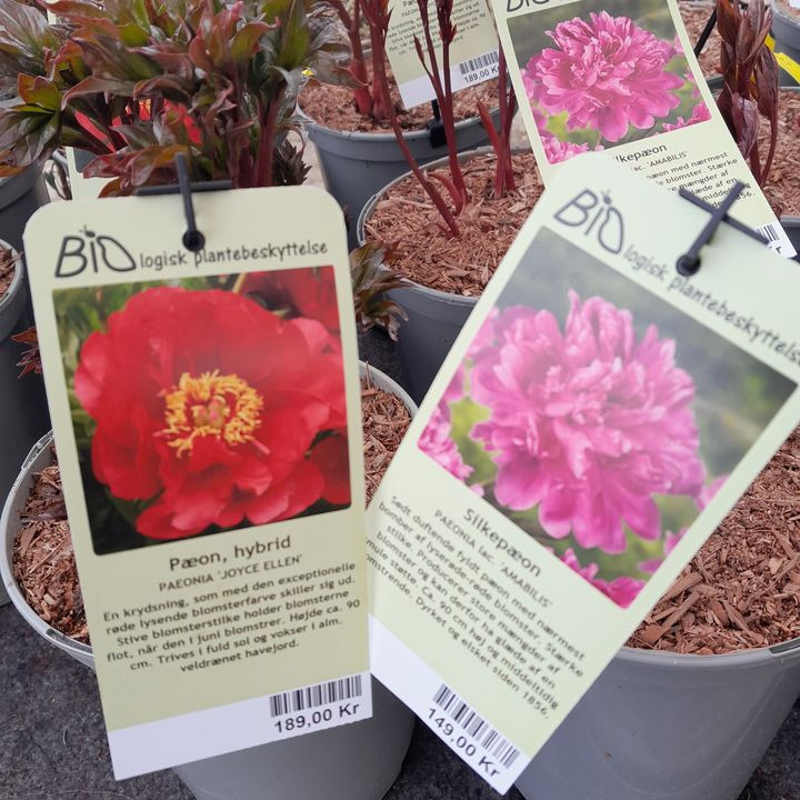 Se dagens updates fra Hobro her