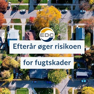Opslagsbillede