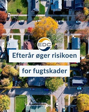 opslagsbillede