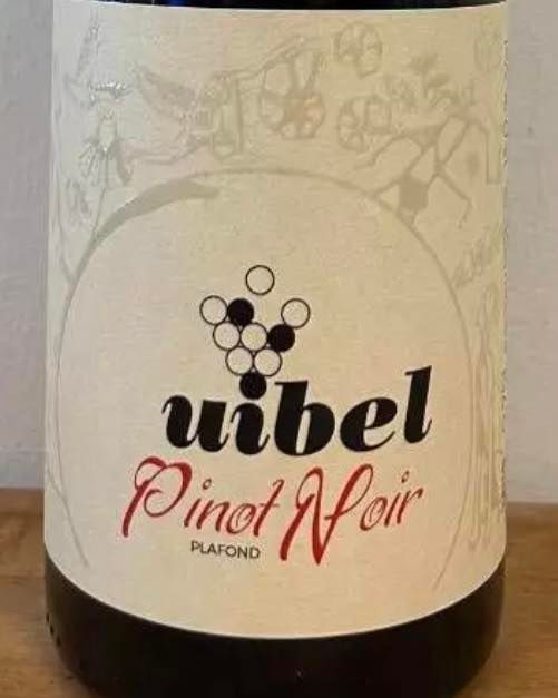 Opslagstavlen: Nyeste opdateringer fra Horsens