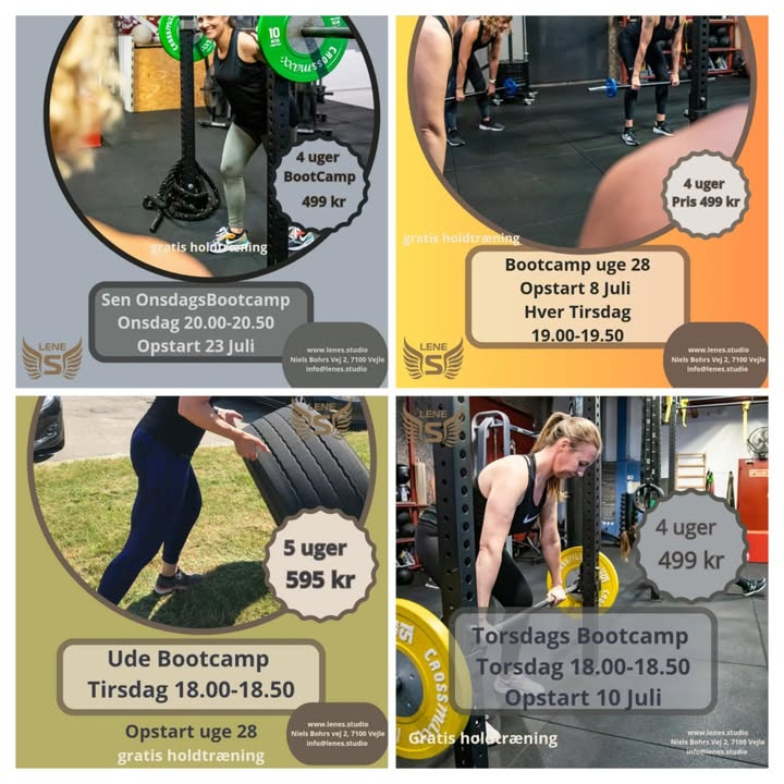 LeneS lancerer spændende sommer bootcamps for alle niveauer