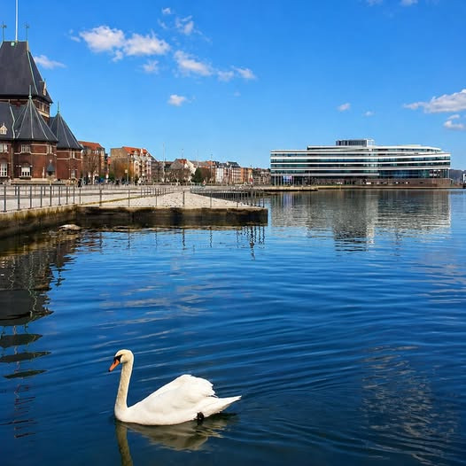 Aarhus Havnerundfart inviterer til solbeskinnede havnerundfarter i fantastisk vejr