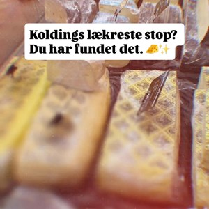 Opslagsbillede