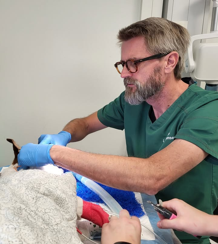 Dyrehospitalet Heden ApS præsenterer hospitalschef Lars