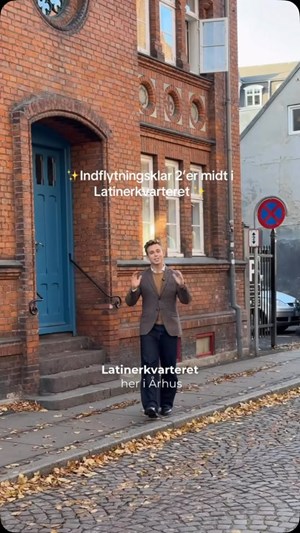 opslagsbillede