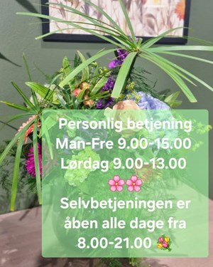 opslagsbillede