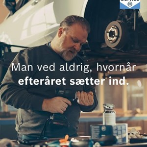 Opslagsbillede