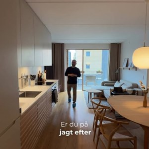 Opslagsbillede