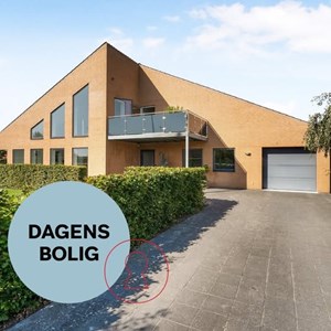 Opslagsbillede