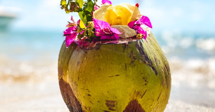 Oplev Mauritius - Det perfekte rejsemål for strandelskere og kulturinteresserede