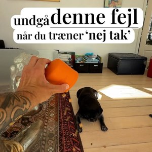 Opslagsbillede