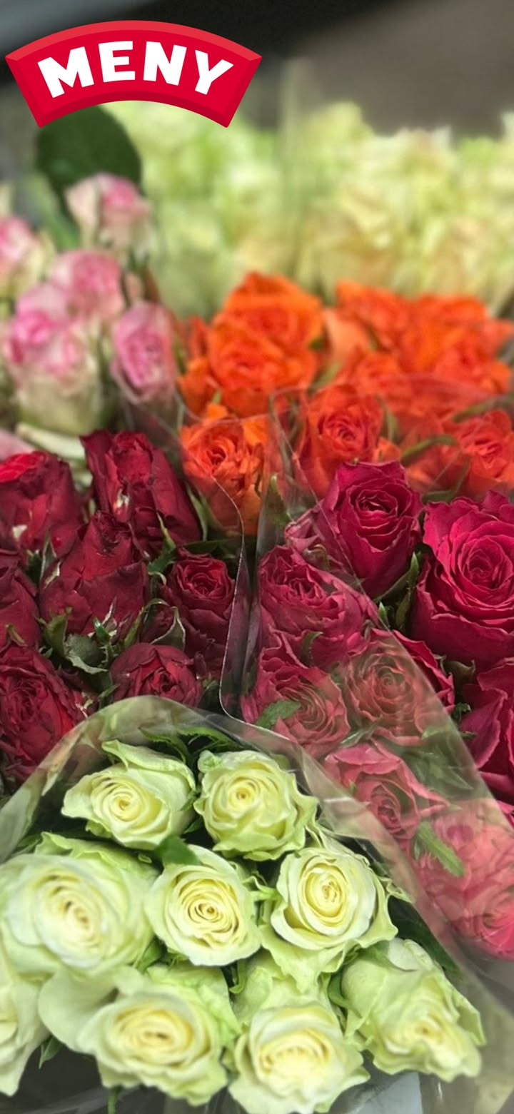 Meny Gl. Skagensvej tilbyder smukke roser til særpris