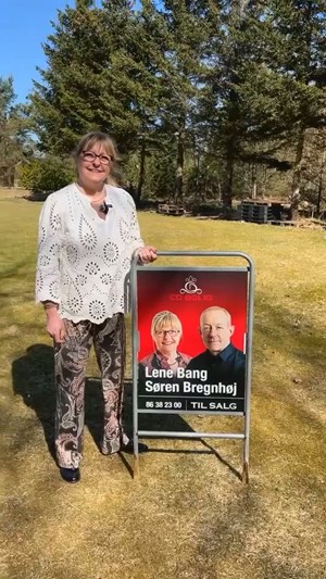 opslagsbillede