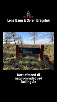 Opslagsbillede