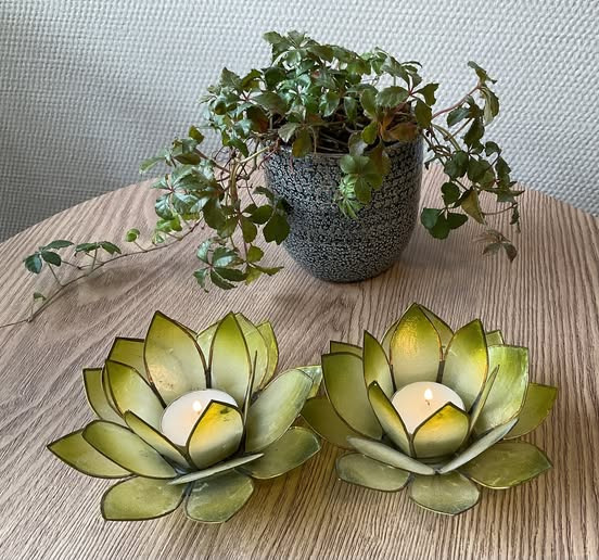 Blanksøe Psykoterapi deler tanker om ensomhed i en moderne verden